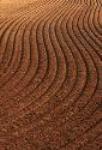 Soil Testing