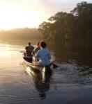 Wildlife Expedition In Costa Rica