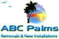 ABC Palms