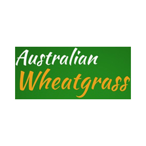 Australian Wheatgrass