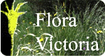 Flora Victoria