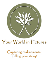 Your World in Pictures