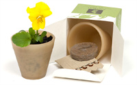 Biopot Biodegradable & Compostable Grow Kit