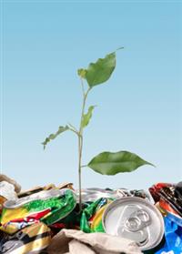 Eco Friendly Waste Management