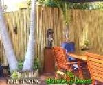 Bamboo Fencing