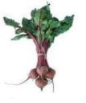 Beetroot