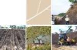 Mulching and erosion control